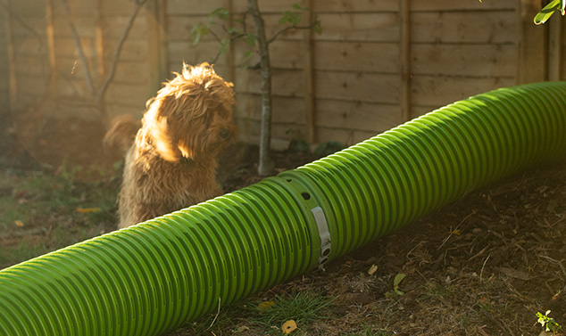Dina kaniner kan på ett säkert sätt använda tunnlarna när andra djur är i trädgården